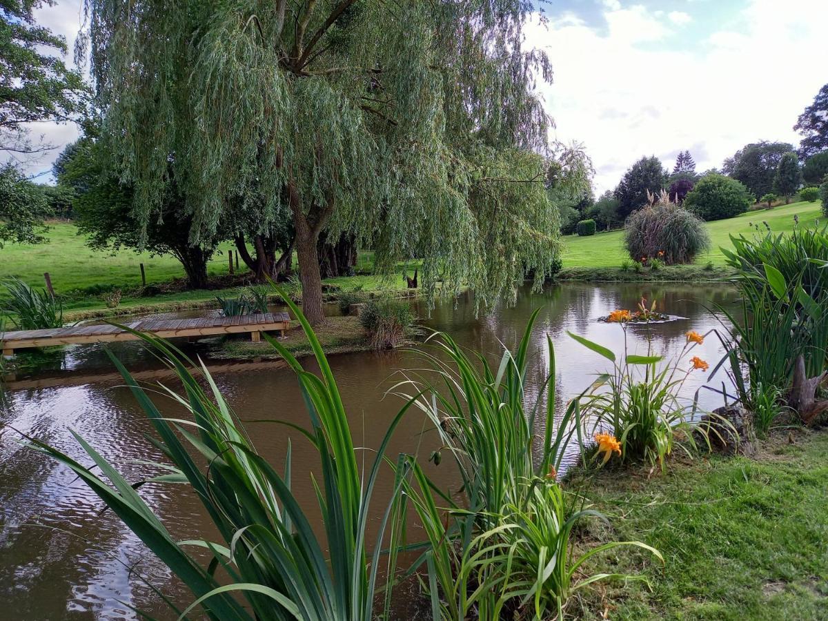 Le Mesnil-Adelee La Gasteboisiere With Swimming Pool And Games Room מראה חיצוני תמונה